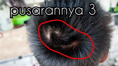 arti pusaran rambut di punggung - elchoricharrua.com