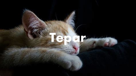 arti tepar - elchoricharrua.com