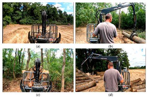 Article Timber Extraction by Farm Tractors in Low Removal Intensity - raincitystudios.com
