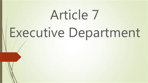 ARTICLE VII Executive Department
