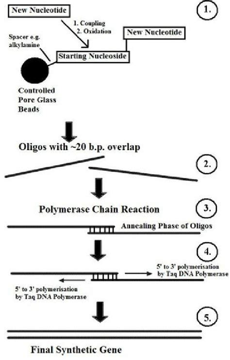 Artificial gene synthesis - wintechmobiles.com