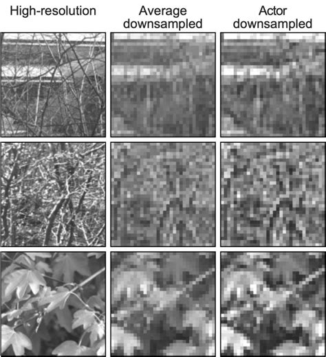 Artificial Intelligence and Restoration: How Algorithms Transform ... - coolestguyplanet.net