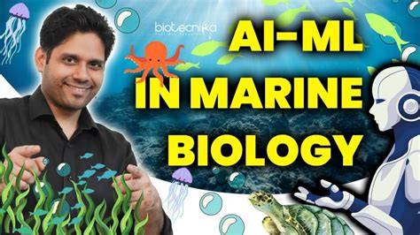 Artificial intelligence in marine biology - ScienceDirect - raincitystudios.com