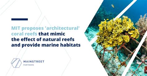 Artificial reef designed by MIT engineers could protect marine life ... - muktibox.com