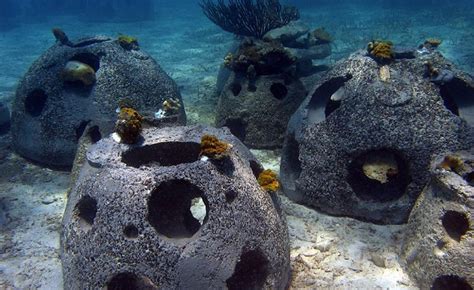 Artificial Reefs for Ecosystem Restoration and Coastal Erosion ... - muktibox.com