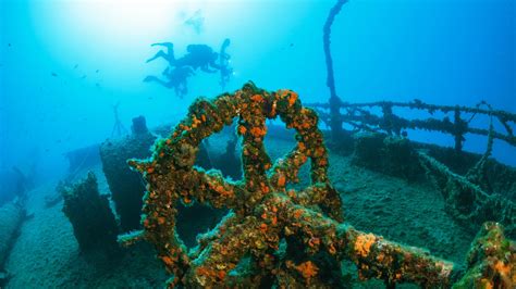Artificial Reefs - Coral Digest - muktibox.com