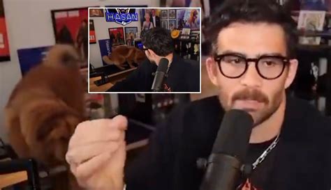 artinya hasan - elchoricharrua.com