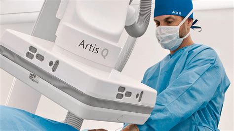 artis q - elchoricharrua.com