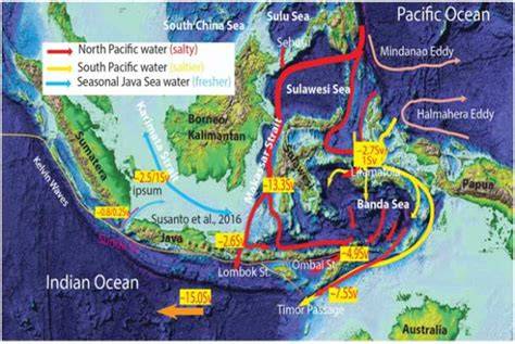 Arus Lintas Indonesia | S1 | Terakreditasi - STEKOM - raincitystudios.com