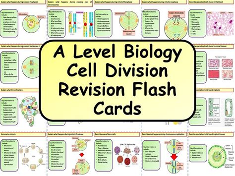 AS Biology Revision Cards