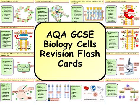 AS Biology Revision Cards