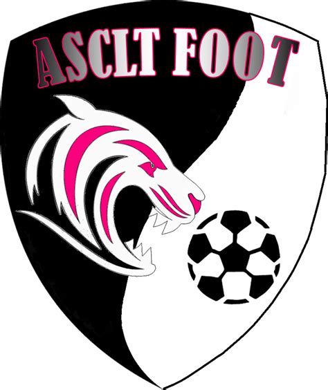 AS TIGERY FOOT : site officiel du club de foot de TIGERY - footeo