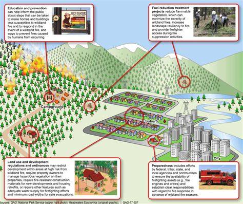 As Wildfires Increase, Integrated Strategies for Forests, … - raincitystudios.com