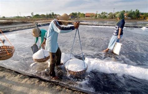 Asal Usul dan Sejarah Garam Dapur - Penemuan Terbaru - raincitystudios.com