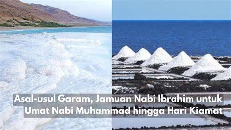 Asal Usul Garam di Lautan - raincitystudios.com