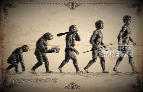 Asal Usul Manusia - wacriswell - wintechmobiles.com