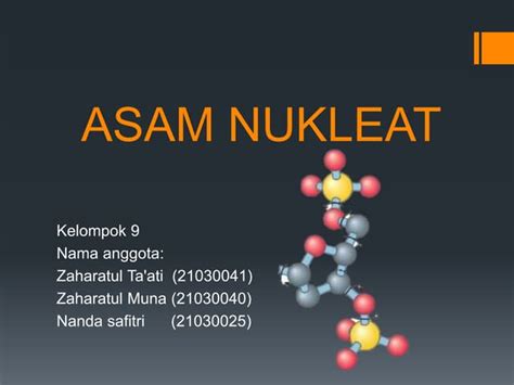 Asam nukleat - Wikipedia bahasa Indonesia, … - wintechmobiles.com