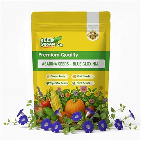Asarina Seeds - Climbing Snapdragon Flower … - raincitystudios.com