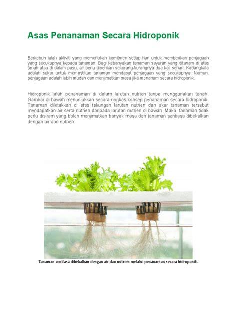Asas Penanaman Secara Hidroponik - Kebuna Putrajaya - raincitystudios.com