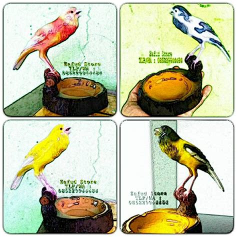 Asbak Modip Burung Kenari - muktibox.com