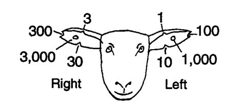 ASC-130 SHEEP IDENTIFICATION SYSTEMS - University of …