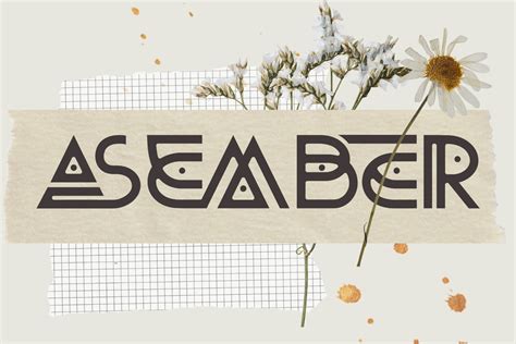 Asember - wintechmobiles.com