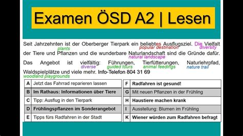 ASF-Deutsch Exam