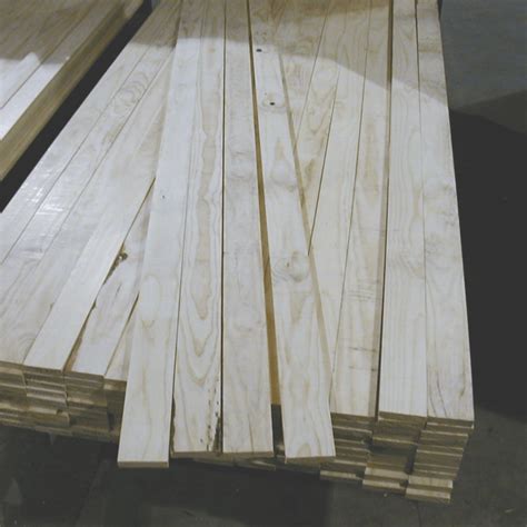 ash strips - elchoricharrua.com