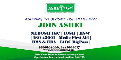 ASHEI - Safety Training Institute - Executive - Linkedin