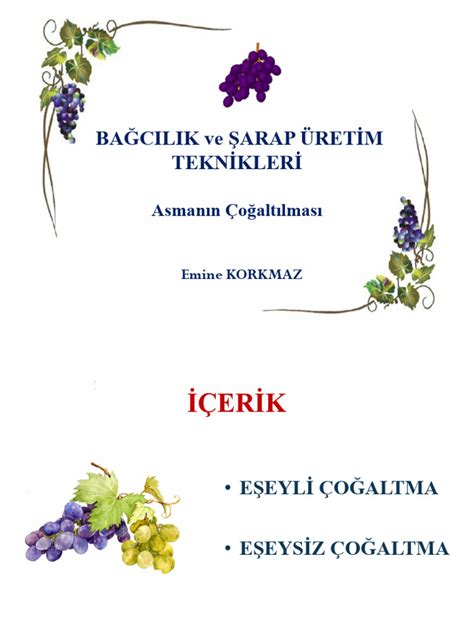 ASMANIN ÇOĞALTILMASI.