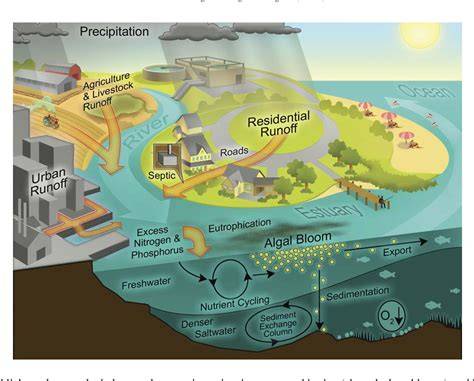 Assessing and managing nutrient-enhanced eutrophication in estuarine ... - raincitystudios.com