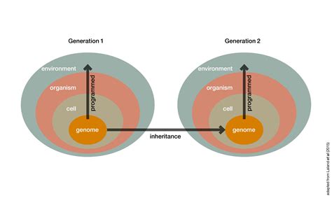 Assessing elements of an extended evolutionary synthesis for plant ... - wintechmobiles.com