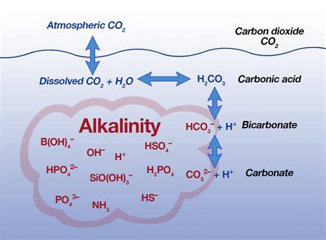 Assessing ocean alkalinity for carbon sequestration - raincitystudios.com