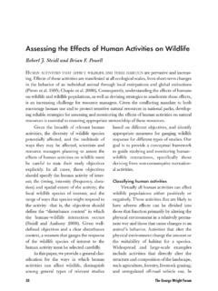 Assessing the Effects of Human Activities on Wildlife - JSTOR - wintechmobiles.com