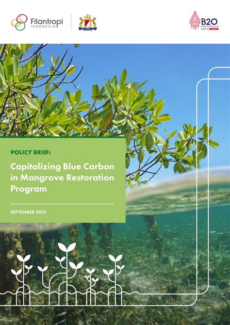 Assessing the Feasibility of a Carbon Credit Program after Mangrove ... - muktibox.com
