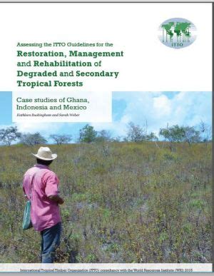 Assessing the ITTO Guidelines for the Restoration, Management ... - raincitystudios.com