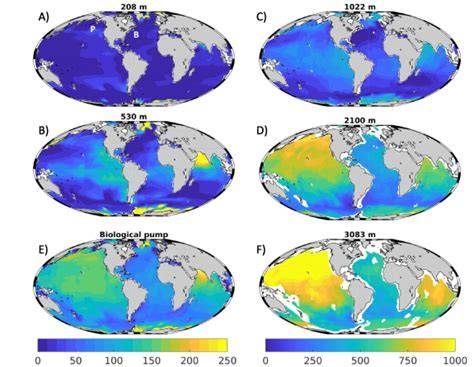 Assessing the sequestration time scales of some ocean-based carbon ... - raincitystudios.com