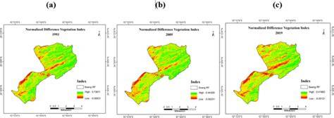 Assessment of Asiatic elephant habitats using satellite data ... - Springer - raincitystudios.com