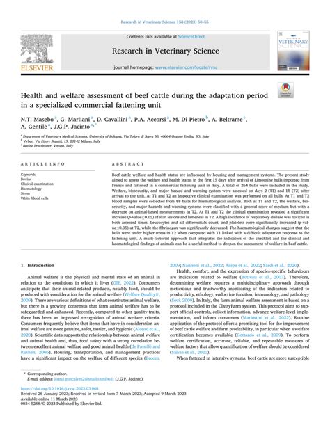 Assessment of Commercial Beef Cattle Fattening … - raincitystudios.com
