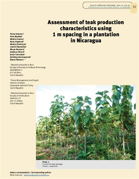 Assessment of Teak Production Characteristics Using 1 M Spacing in … - raincitystudios.com