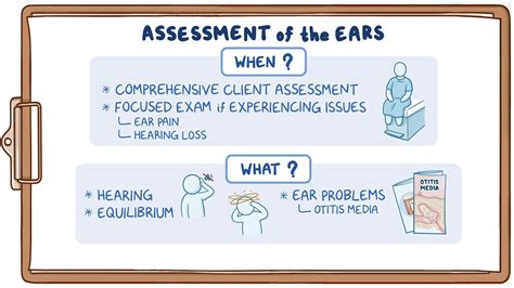 ASSESSMENT OF THE EAR