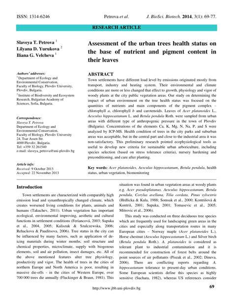 Assessment of the Health Status of Old Trees of … - raincitystudios.com