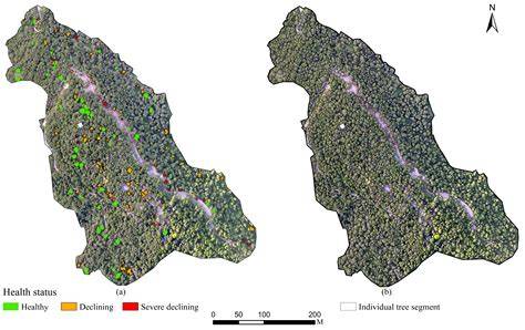 Assessment of the Health Status of Old Trees of Platycladus orientalis ... - raincitystudios.com