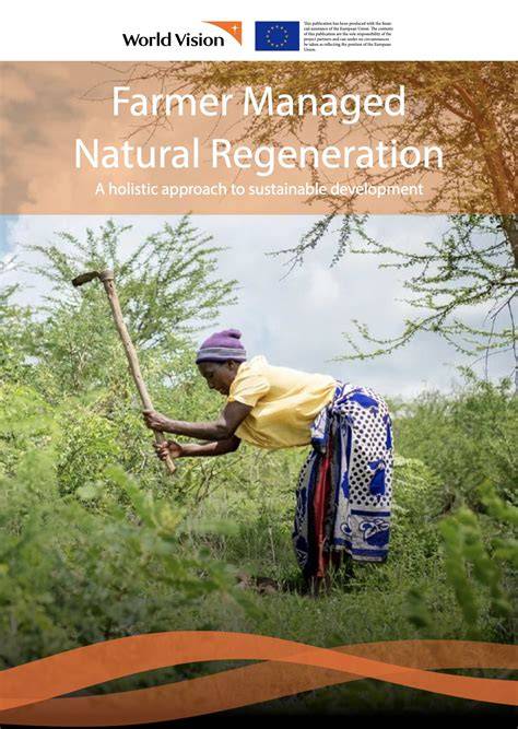 Assisted natural regeneration| FAO | Food and … - raincitystudios.com