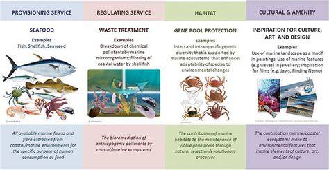 Association for Coastal Ecosystem Services’ Post - raincitystudios.com