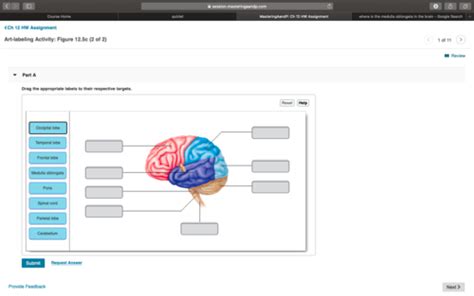 ASTR Ch. 12 HW Flashcards | Quizlet - muktibox.com