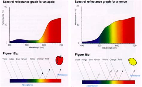 ASTRO 150 Final Flashcards | Quizlet - wintechmobiles.com