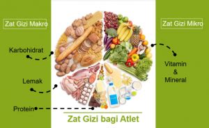 Asupan Gizi dan Atlet - RSP Respira - muktibox.com