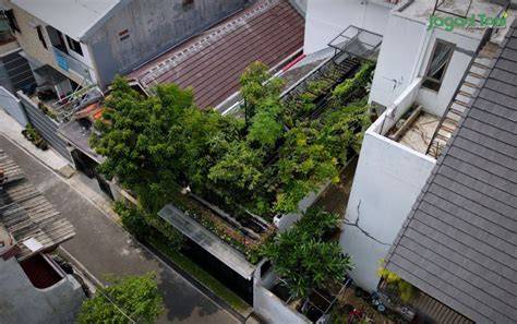Asyiknya Berkebun Di Rooftop - Jagad Tani - raincitystudios.com