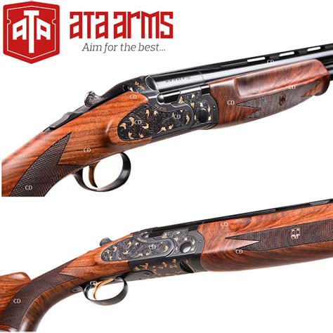 codini.rgarabwor.edu.pl. 